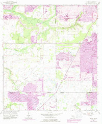 Duette NE Florida Historical topographic map, 1:24000 scale, 7.5 X 7.5 Minute, Year 1956