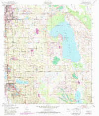 Dundee Florida Historical topographic map, 1:24000 scale, 7.5 X 7.5 Minute, Year 1953
