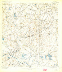 Dunnellon Florida Historical topographic map, 1:62500 scale, 15 X 15 Minute, Year 1894