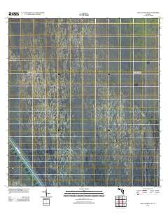 East of Deem City Florida Historical topographic map, 1:24000 scale, 7.5 X 7.5 Minute, Year 2012