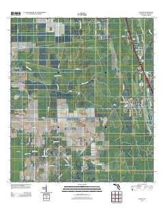 Elkton Florida Historical topographic map, 1:24000 scale, 7.5 X 7.5 Minute, Year 2012