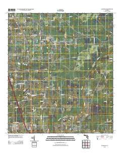 Ellisville Florida Historical topographic map, 1:24000 scale, 7.5 X 7.5 Minute, Year 2012