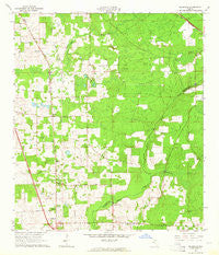Ellisville Florida Historical topographic map, 1:24000 scale, 7.5 X 7.5 Minute, Year 1963