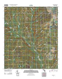 Enon Florida Historical topographic map, 1:24000 scale, 7.5 X 7.5 Minute, Year 2012