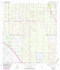 Fellsmere 4 SE Florida Historical topographic map, 1:24000 scale, 7.5 X 7.5 Minute, Year 1953
