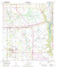 Fellsmere Florida Historical topographic map, 1:24000 scale, 7.5 X 7.5 Minute, Year 1949