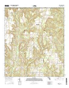 Fidelis Florida Current topographic map, 1:24000 scale, 7.5 X 7.5 Minute, Year 2015