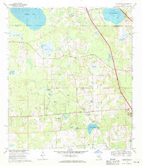 Flemington Florida Historical topographic map, 1:24000 scale, 7.5 X 7.5 Minute, Year 1969