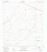 Fort Kissimmee NE Florida Historical topographic map, 1:24000 scale, 7.5 X 7.5 Minute, Year 1953
