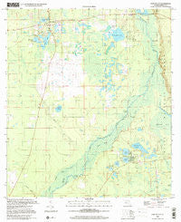 Fort Mc Coy Florida Historical topographic map, 1:24000 scale, 7.5 X 7.5 Minute, Year 1999
