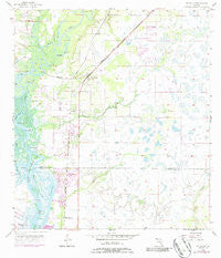 Ft. Ogden Florida Historical topographic map, 1:24000 scale, 7.5 X 7.5 Minute, Year 1956