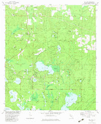 Gap Lake Florida Historical topographic map, 1:24000 scale, 7.5 X 7.5 Minute, Year 1982