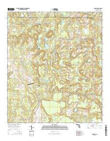 Gaskin Florida Current topographic map, 1:24000 scale, 7.5 X 7.5 Minute, Year 2015