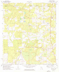 Gaskin Florida Historical topographic map, 1:24000 scale, 7.5 X 7.5 Minute, Year 1973