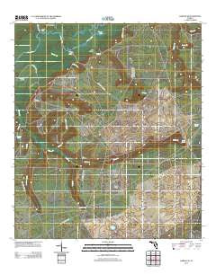 Harold SE Florida Historical topographic map, 1:24000 scale, 7.5 X 7.5 Minute, Year 2012