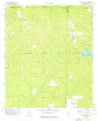 Hurricane Lake Florida Historical topographic map, 1:24000 scale, 7.5 X 7.5 Minute, Year 1973