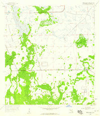 Immokalee SW Florida Historical topographic map, 1:24000 scale, 7.5 X 7.5 Minute, Year 1958