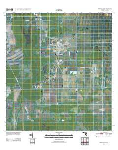 Immokalee SW Florida Historical topographic map, 1:24000 scale, 7.5 X 7.5 Minute, Year 2012