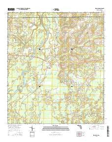 Izagora Florida Current topographic map, 1:24000 scale, 7.5 X 7.5 Minute, Year 2015