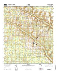Juniper Creek Florida Current topographic map, 1:24000 scale, 7.5 X 7.5 Minute, Year 2015