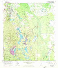 Lake Helen Florida Historical topographic map, 1:24000 scale, 7.5 X 7.5 Minute, Year 1966