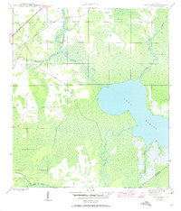 Lake Wimico Florida Historical topographic map, 1:24000 scale, 7.5 X 7.5 Minute, Year 1945