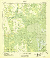 Lake Wimico Florida Historical topographic map, 1:31680 scale, 7.5 X 7.5 Minute, Year 1945