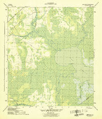 Lake Wimico Florida Historical topographic map, 1:31680 scale, 7.5 X 7.5 Minute, Year 1945