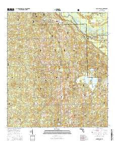 Lake Delancy Florida Current topographic map, 1:24000 scale, 7.5 X 7.5 Minute, Year 2015