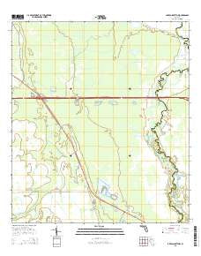Lake Poinsett NW Florida Current topographic map, 1:24000 scale, 7.5 X 7.5 Minute, Year 2015