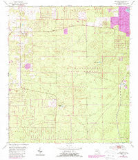 Lecanto Florida Historical topographic map, 1:24000 scale, 7.5 X 7.5 Minute, Year 1954