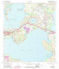 Leesburg East Florida Historical topographic map, 1:24000 scale, 7.5 X 7.5 Minute, Year 1965