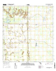 Long Island Marsh NE Florida Current topographic map, 1:24000 scale, 7.5 X 7.5 Minute, Year 2015