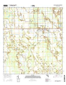 Long Island Marsh NW Florida Current topographic map, 1:24000 scale, 7.5 X 7.5 Minute, Year 2015