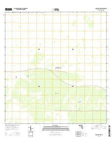 Long Pine Key Florida Current topographic map, 1:24000 scale, 7.5 X 7.5 Minute, Year 2015