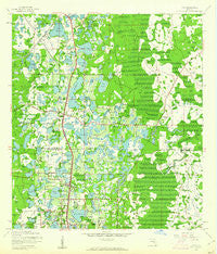 Lutz Florida Historical topographic map, 1:24000 scale, 7.5 X 7.5 Minute, Year 1943