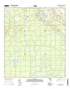 Mallory Swamp NE Florida Current topographic map, 1:24000 scale, 7.5 X 7.5 Minute, Year 2015