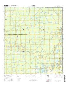 Mallory Swamp SE Florida Current topographic map, 1:24000 scale, 7.5 X 7.5 Minute, Year 2015