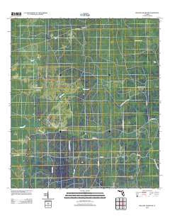 Mallory Swamp SW Florida Historical topographic map, 1:24000 scale, 7.5 X 7.5 Minute, Year 2012