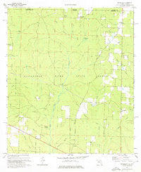 Mc Lellan Florida Historical topographic map, 1:24000 scale, 7.5 X 7.5 Minute, Year 1973