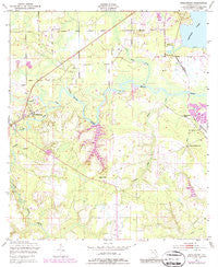 Middleburg Florida Historical topographic map, 1:24000 scale, 7.5 X 7.5 Minute, Year 1949