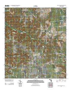 Mount Pleasant Florida Historical topographic map, 1:24000 scale, 7.5 X 7.5 Minute, Year 2012