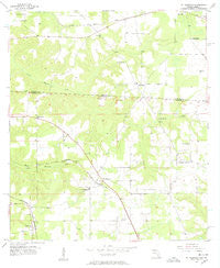 Mt Pleasant Florida Historical topographic map, 1:24000 scale, 7.5 X 7.5 Minute, Year 1955