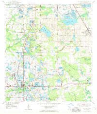 Mulberry Florida Historical topographic map, 1:24000 scale, 7.5 X 7.5 Minute, Year 1949