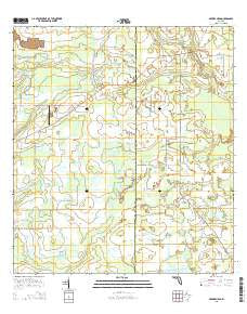 Myakka Head Florida Current topographic map, 1:24000 scale, 7.5 X 7.5 Minute, Year 2015