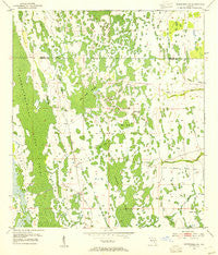 Narcoossee SE Florida Historical topographic map, 1:24000 scale, 7.5 X 7.5 Minute, Year 1953