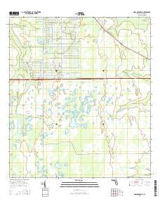 Narcoossee NE Florida Current topographic map, 1:24000 scale, 7.5 X 7.5 Minute, Year 2015