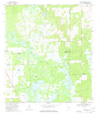Newberry SW Florida Historical topographic map, 1:24000 scale, 7.5 X 7.5 Minute, Year 1968