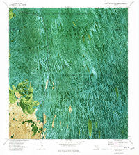 North Of Fortymile Bend Florida Historical topographic map, 1:24000 scale, 7.5 X 7.5 Minute, Year 1973