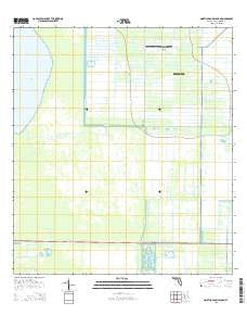 North of Gum Slough Florida Current topographic map, 1:24000 scale, 7.5 X 7.5 Minute, Year 2015